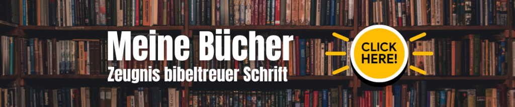 Meine Bücher (2)